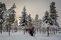 17 Kiruna, rendier